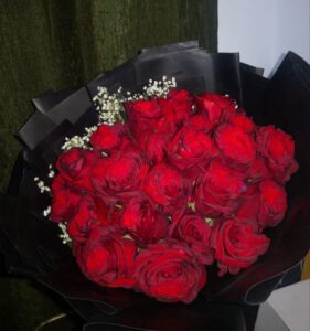 57503388-5267-4841-9c15-cbbd6998c8b8